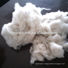 100% Dehaired raw cashmere wool white